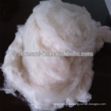 Fibra de Cachemira de Cabra Blanca 100% Dehaired